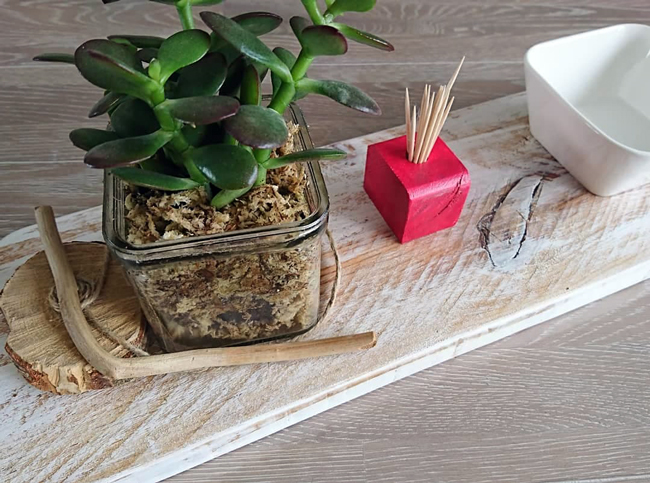 centre-table-décoration-plante-apéro-bois-personnalisé-artisanal centre-table-planche-décoration-plante-apéro-bois-personnalisé-artisanal