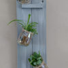 suspension-vegetal-bois-plante-décoration-mural-bois-personnalisé-artisanal