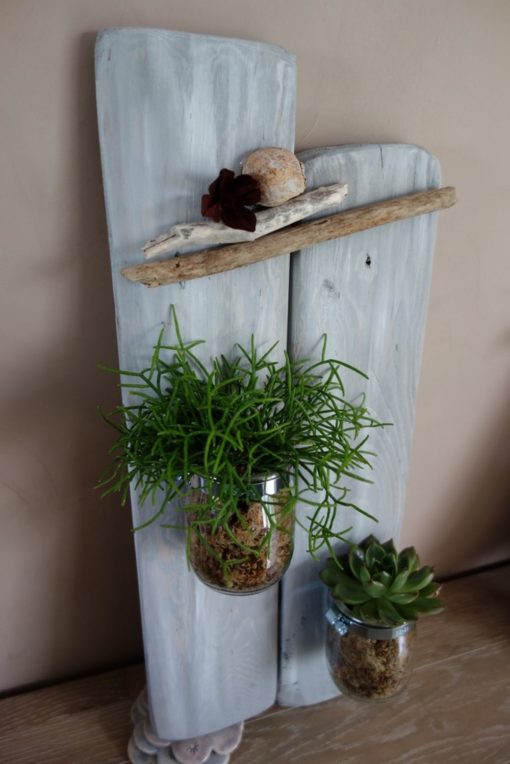 suspension végétale-plante-maison-décoration-bois-pas de calais (10)