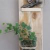 suspension-vegetal-bois-plante-décoration-mural-bois-personnalisé-artisanal