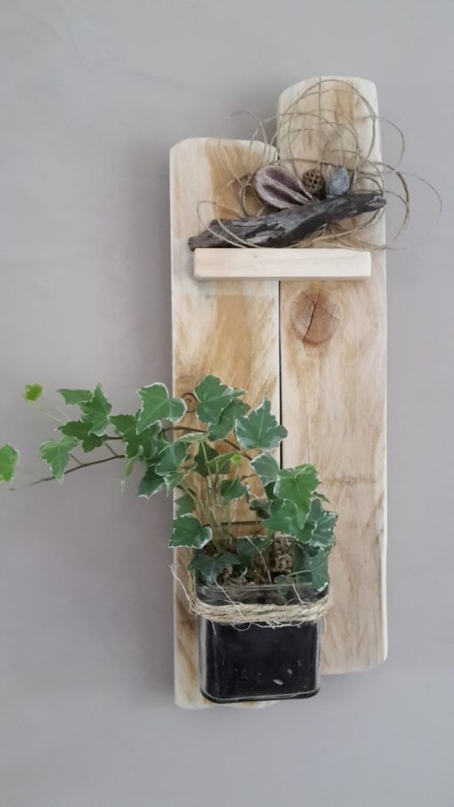 suspension végétale-plante-maison-décoration-bois-pas de calais (9)