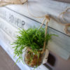 tableau-message-citation-décoration-bois-cadeau-personnalisé-artisanal-plante