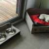 panier-lit-porte-gamelle-chien-chat-animaux-bois-personnalisé-artisanal