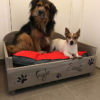 panier-lit-chien-chat-animaux-bois-personnalisé-artisanal