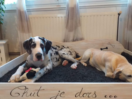 panier-lit-chien-chat-animaux-bois-personnalisé-artisanal