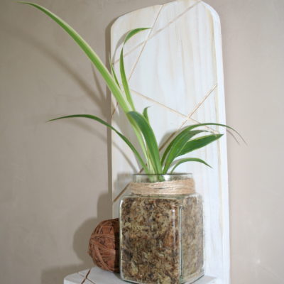 suspension-vegetal-bois-plante-décoration-mural-bois-personnalisé-artisanal