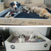 panier-lit-chien-chat-animaux-bois-personnalisé-artisanal