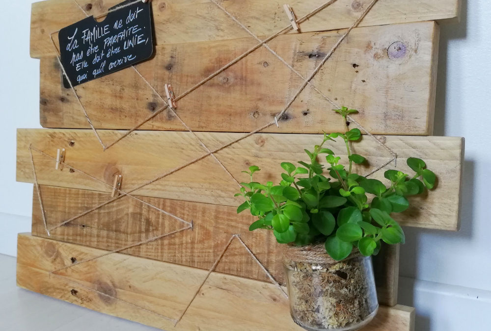 Pêle-mêle 5 photos avec plante – Cadre photo mural personnalisé