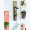 Décorations murales avec plantes en pots suspendus.
