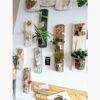 Mur décoratif avec plantes et vases suspendus.