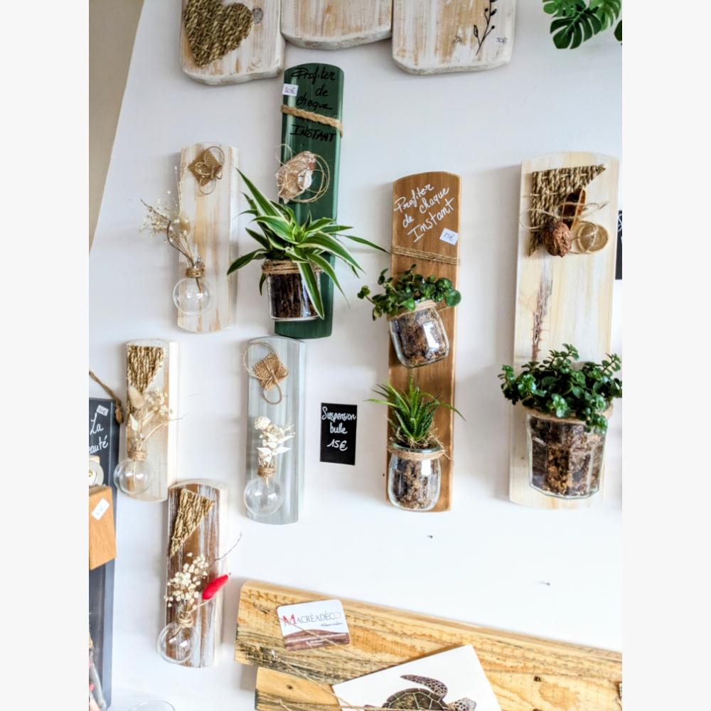 Mur décoratif avec plantes et vases suspendus.