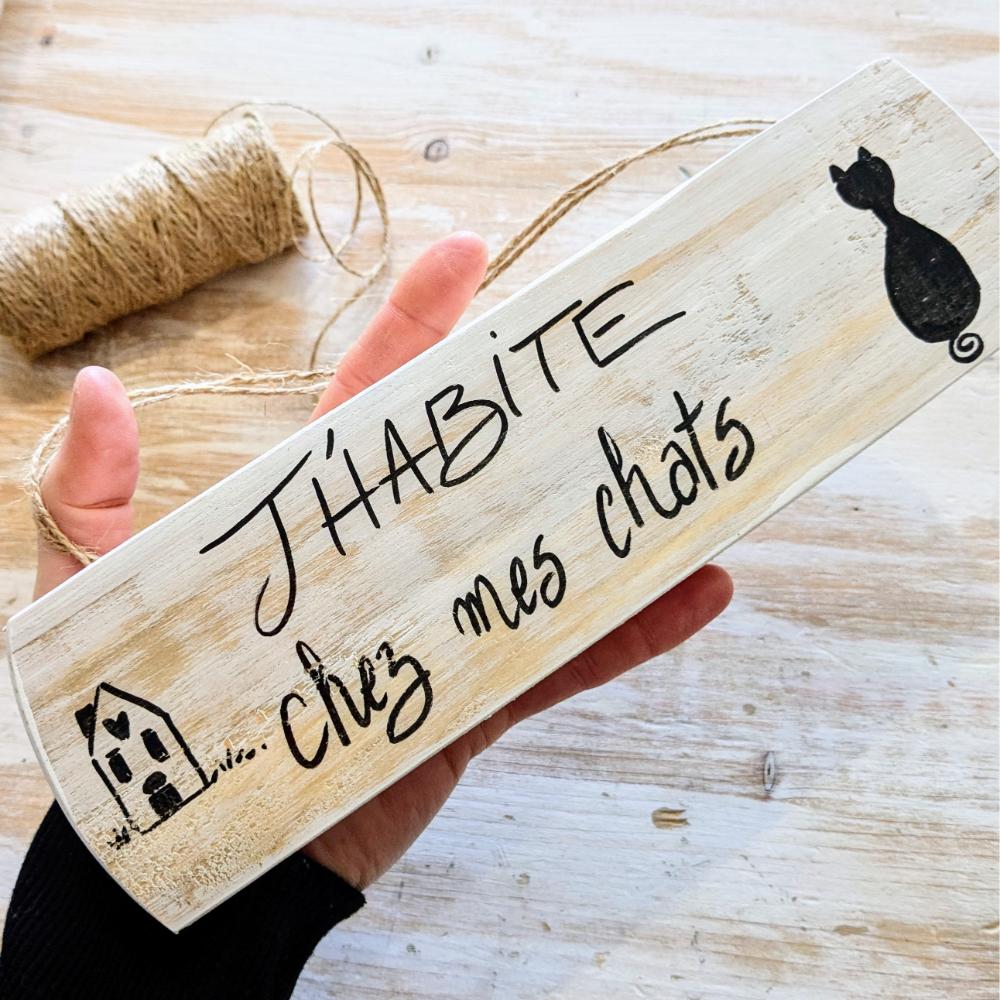 30-04-2025 (65) Pancarte humoristique : J'habite chez mes chats.